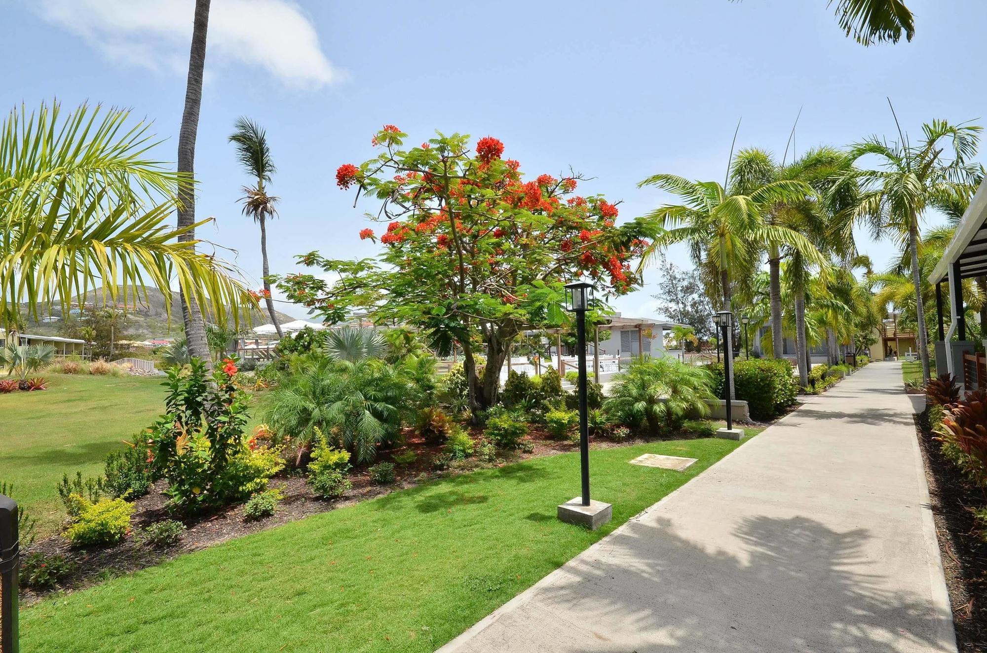 Royal St. Kitts Hotel فريجيت باي المظهر الخارجي الصورة